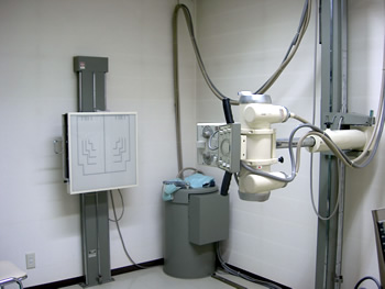 �����g�Q����